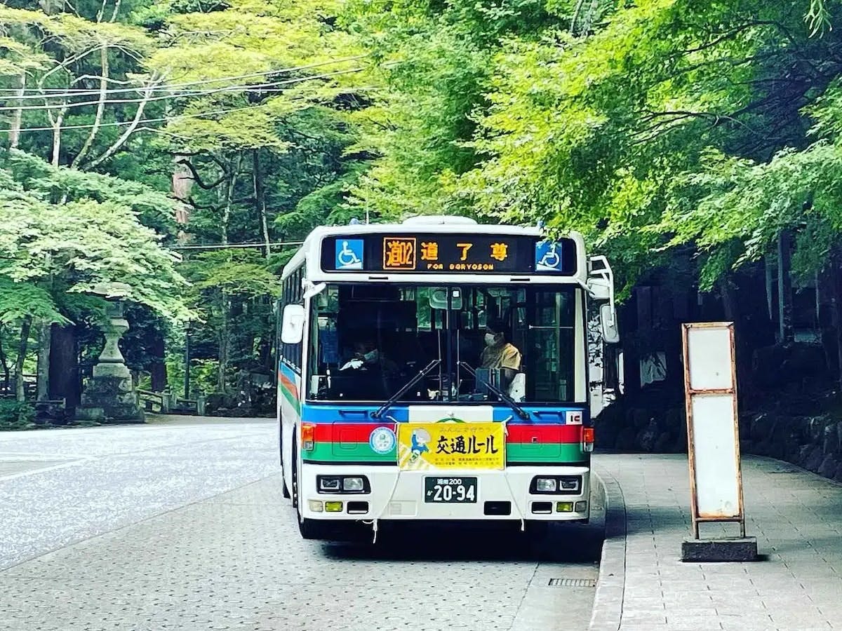 大雄山駅と大乗寺道了尊を結ぶバス　青、赤、緑のラインが目印
