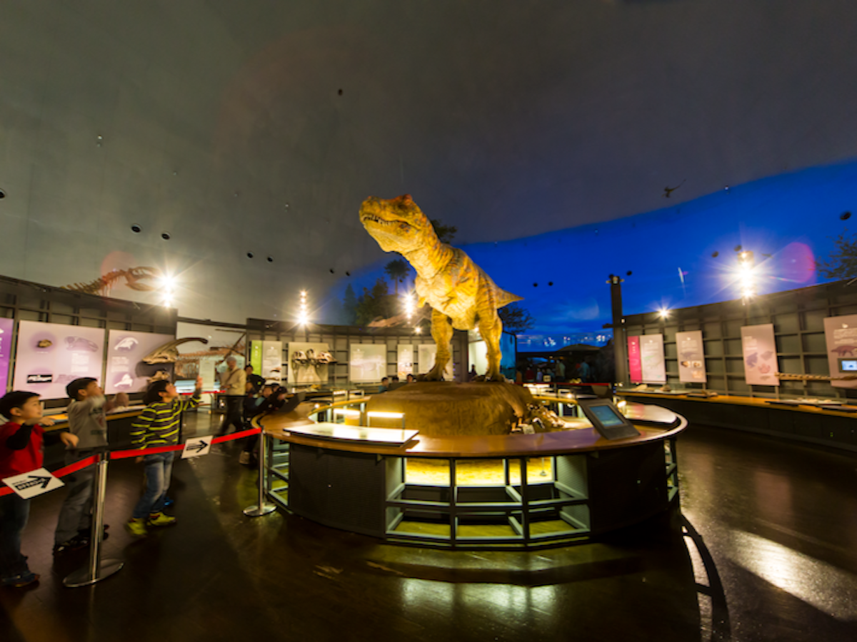 福井県立恐竜博物館のティラノサウルス